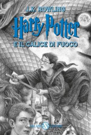 HARRY POTTER E IL CALICE DI FUOCO VOL. 4